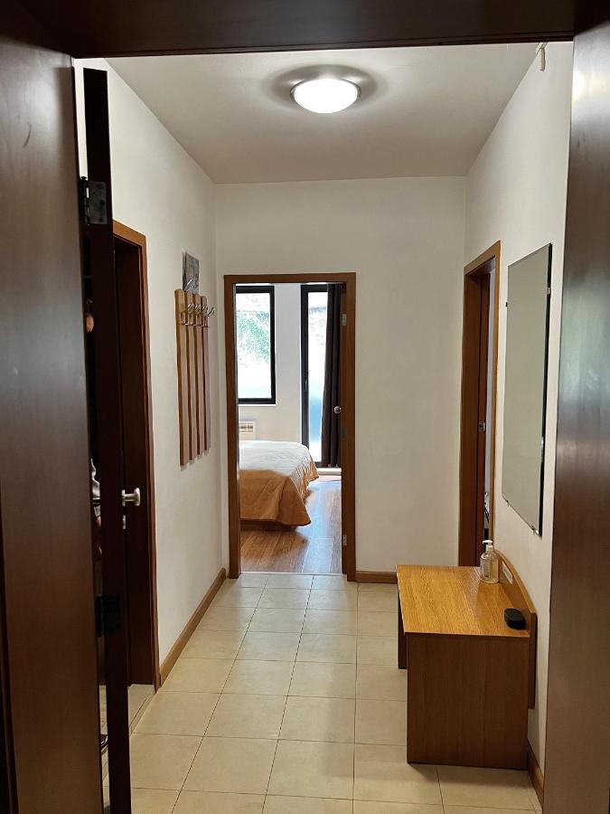 Christina Apartment In Laplandia Pamporovo Exteriér fotografie